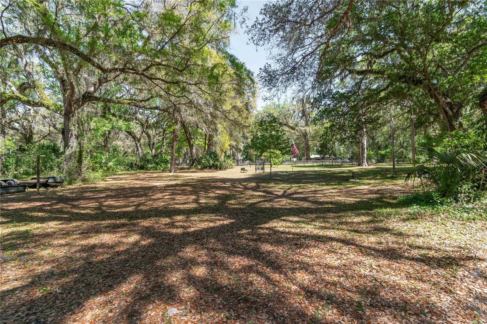 14100 NE 40TH CT, ANTHONY, FL, 32617