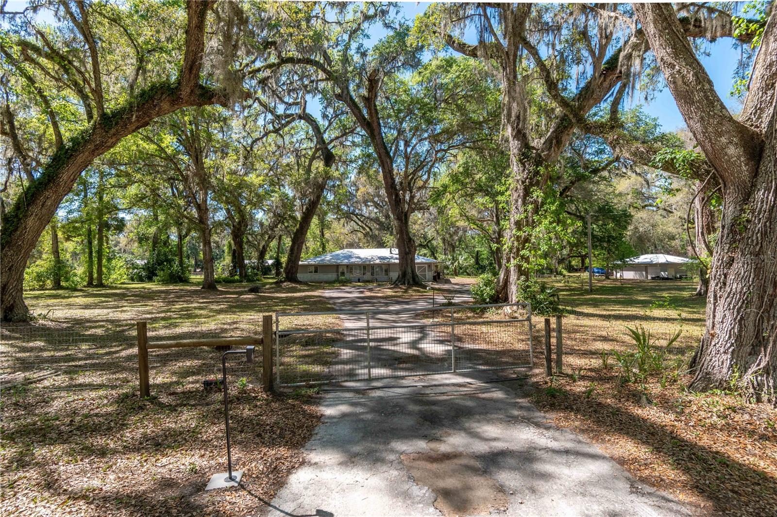 14100 NE 40TH CT, ANTHONY, FL, 32617