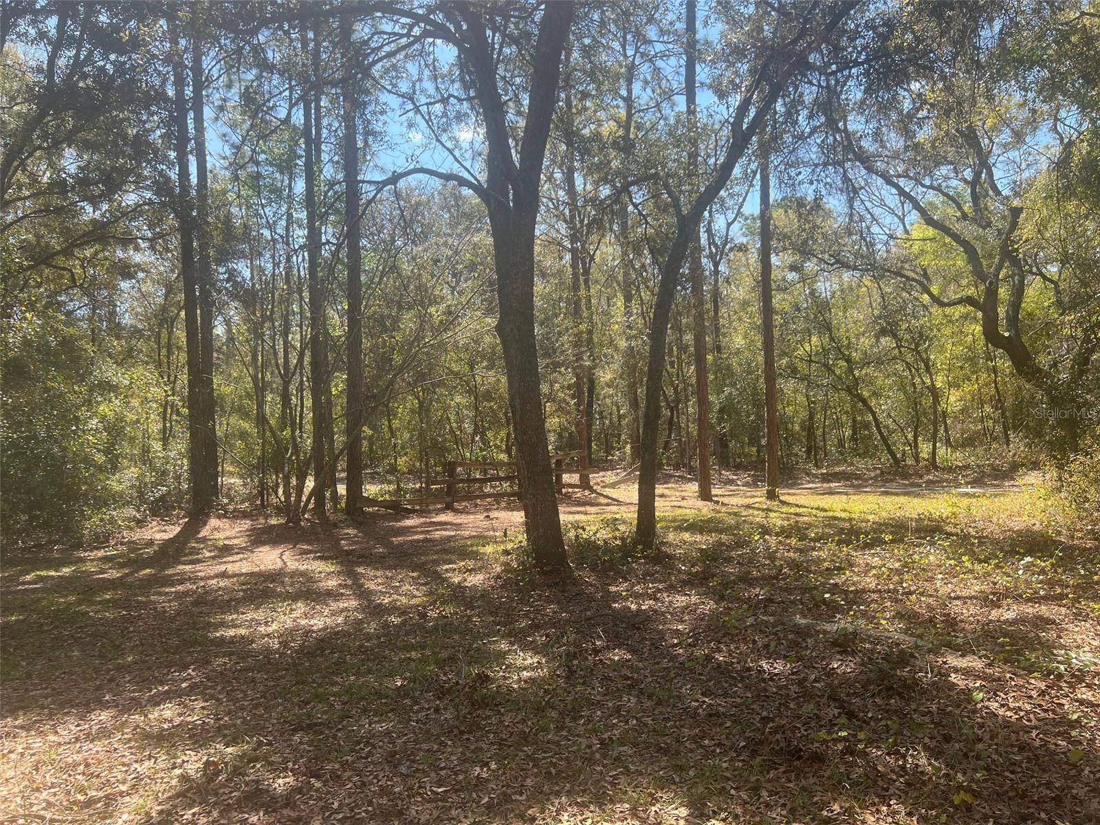 11372 E HIGHWAY 25, OCKLAWAHA, FL, 32179