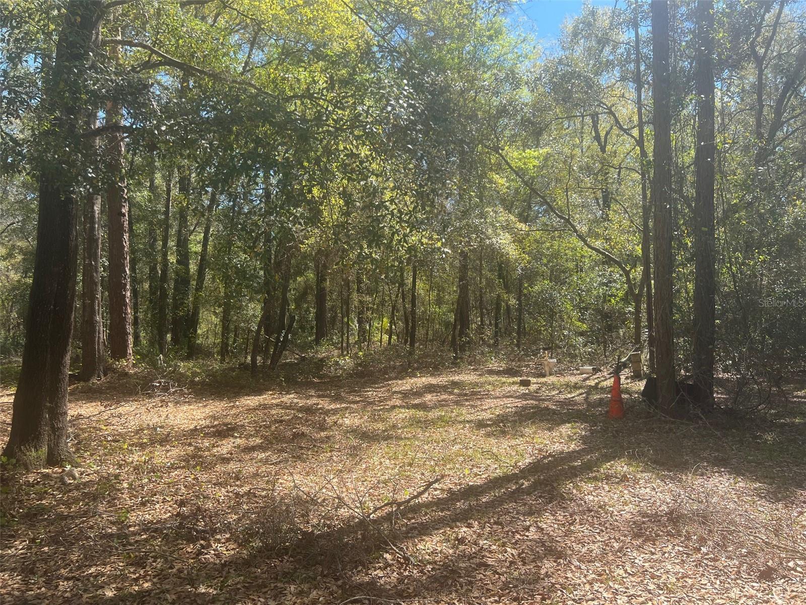 11372 E HIGHWAY 25, OCKLAWAHA, FL, 32179