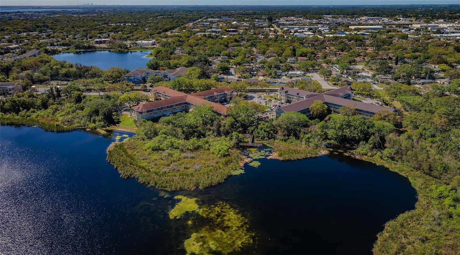 2019 UTOPIAN DR W #310, CLEARWATER, FL, 33763