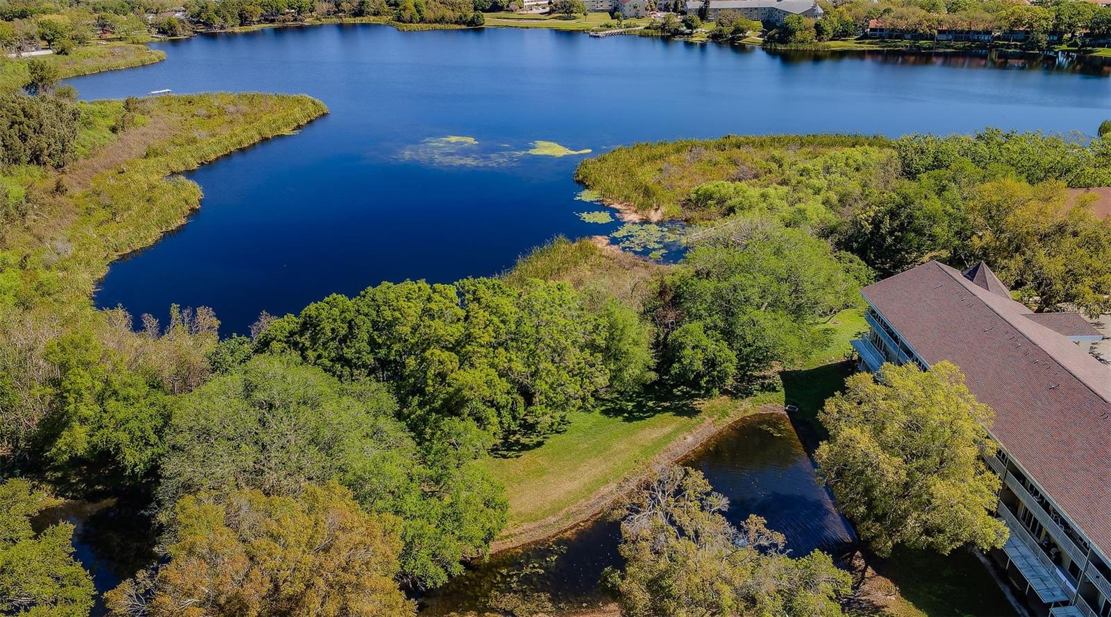 2019 UTOPIAN DR W #310, CLEARWATER, FL, 33763