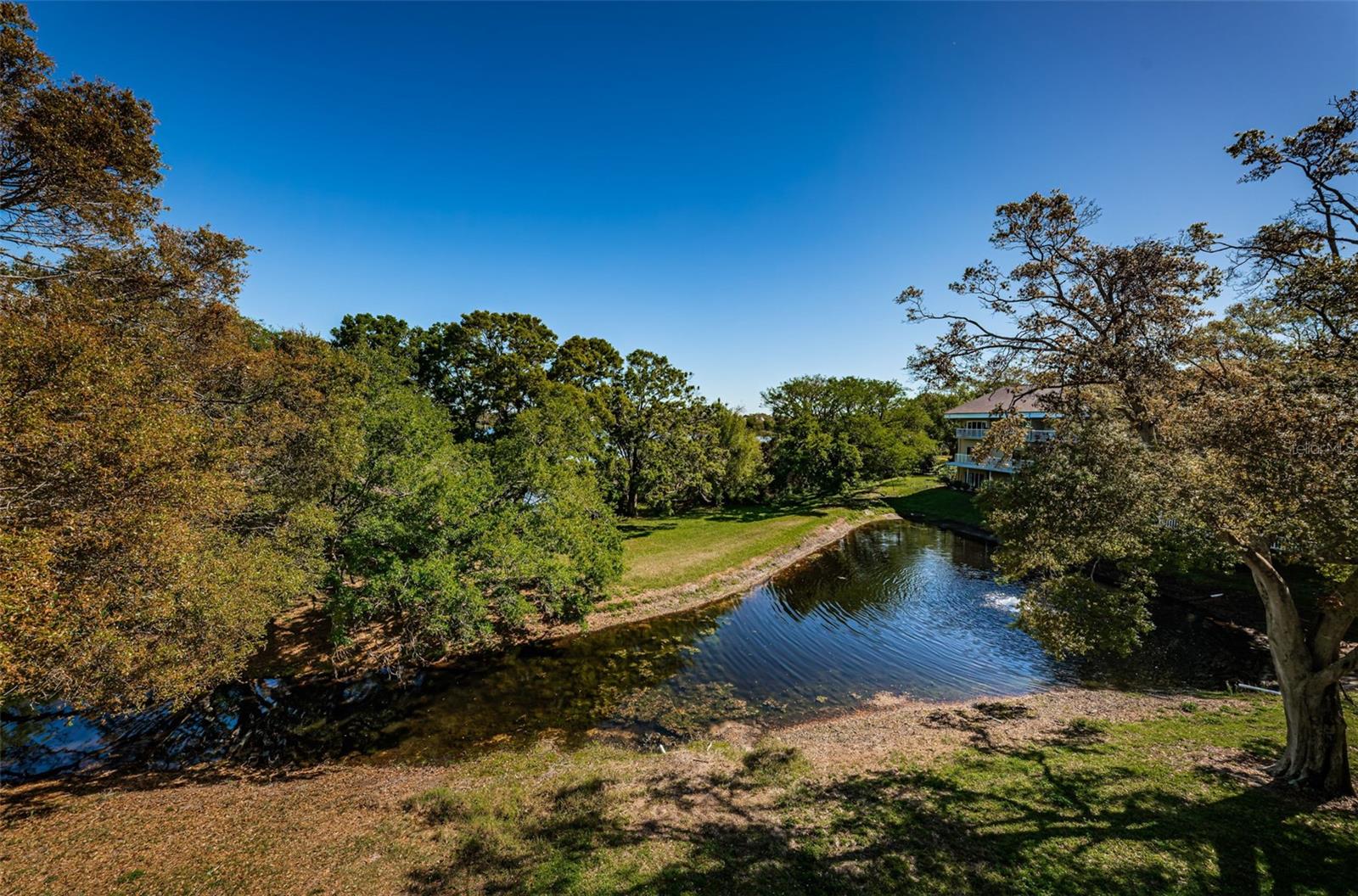 2019 UTOPIAN DR W #310, CLEARWATER, FL, 33763