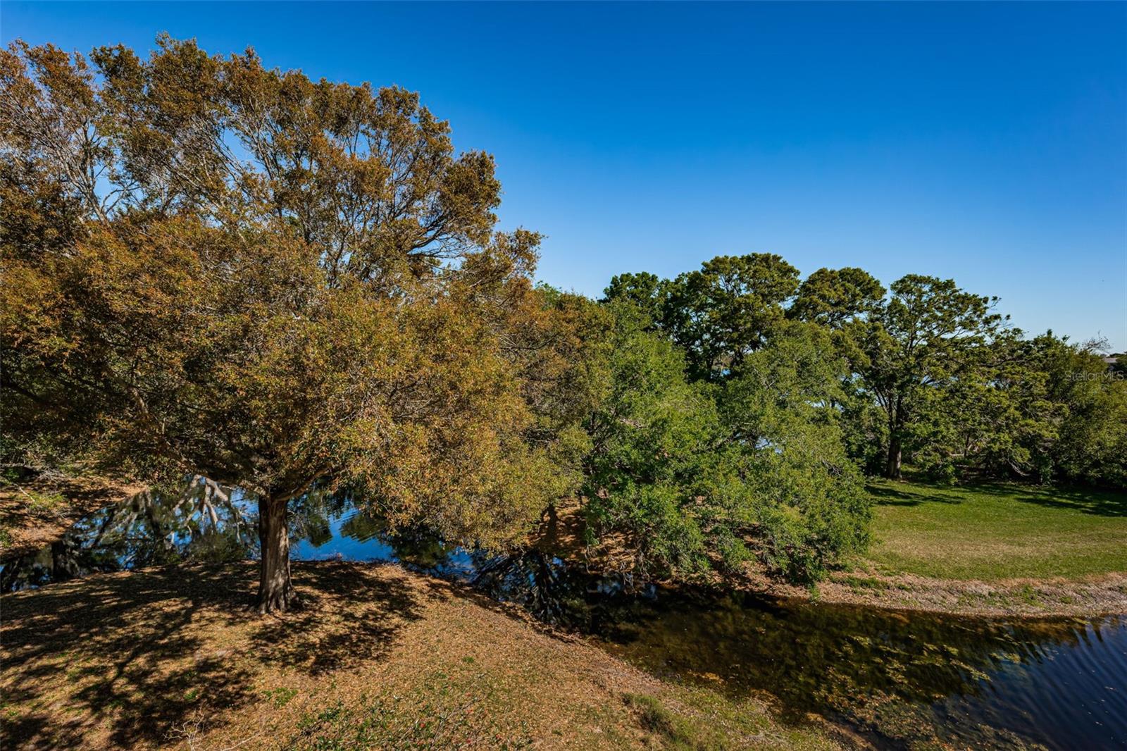 2019 UTOPIAN DR W #310, CLEARWATER, FL, 33763