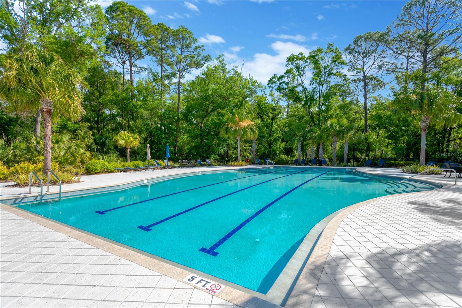 4127 BROAD PORCH RUN, LAND O LAKES, FL, 34638