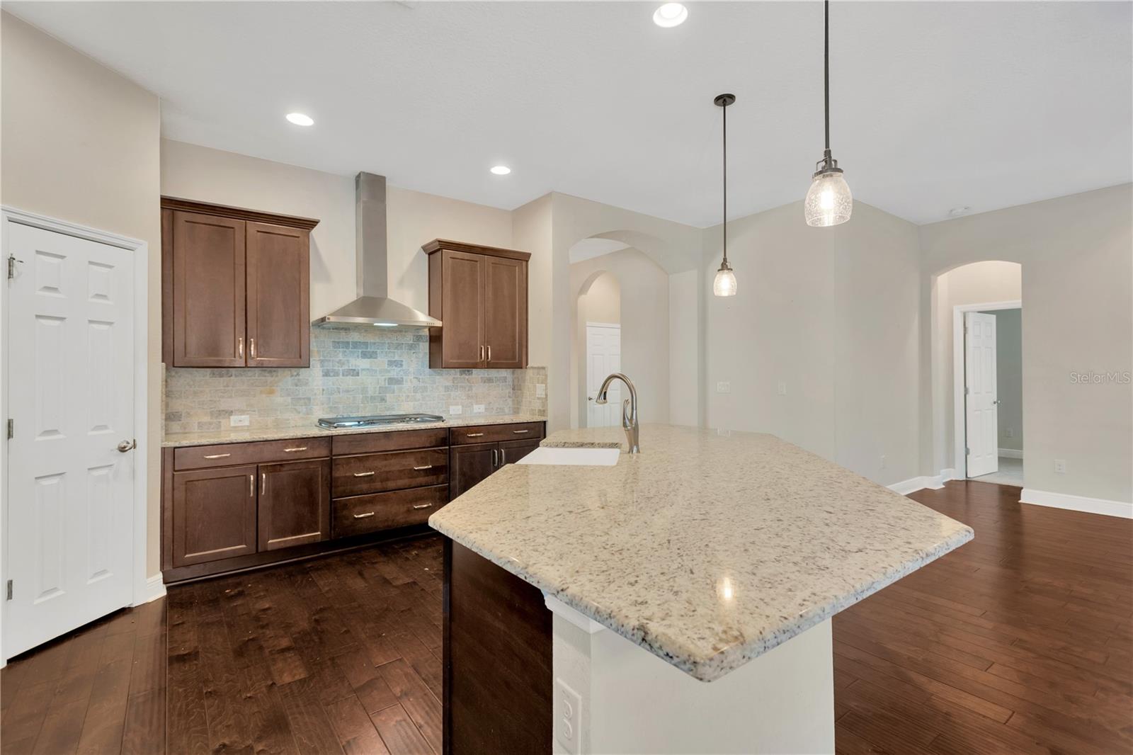 4127 BROAD PORCH RUN, LAND O LAKES, FL, 34638