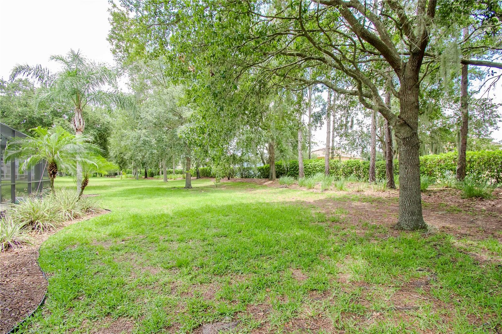 7425 MINNOW BROOK WAY, LAND O LAKES, FL, 34637