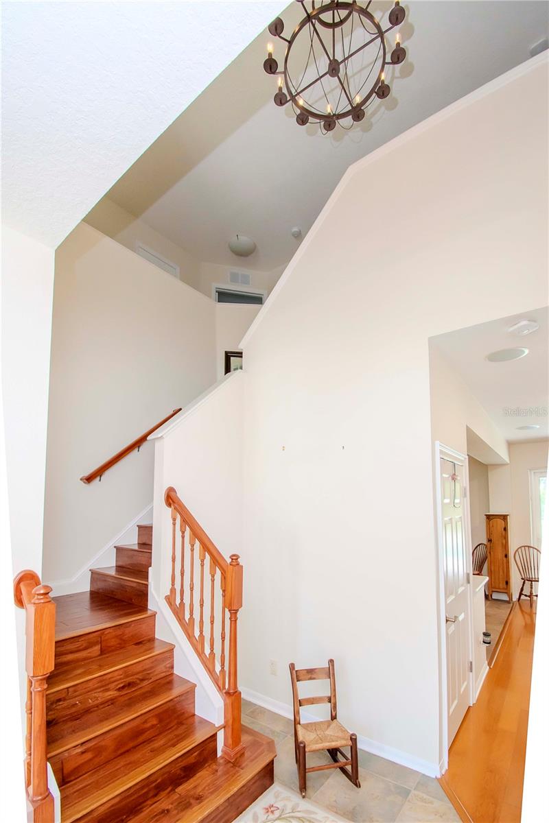 7425 MINNOW BROOK WAY, LAND O LAKES, FL, 34637
