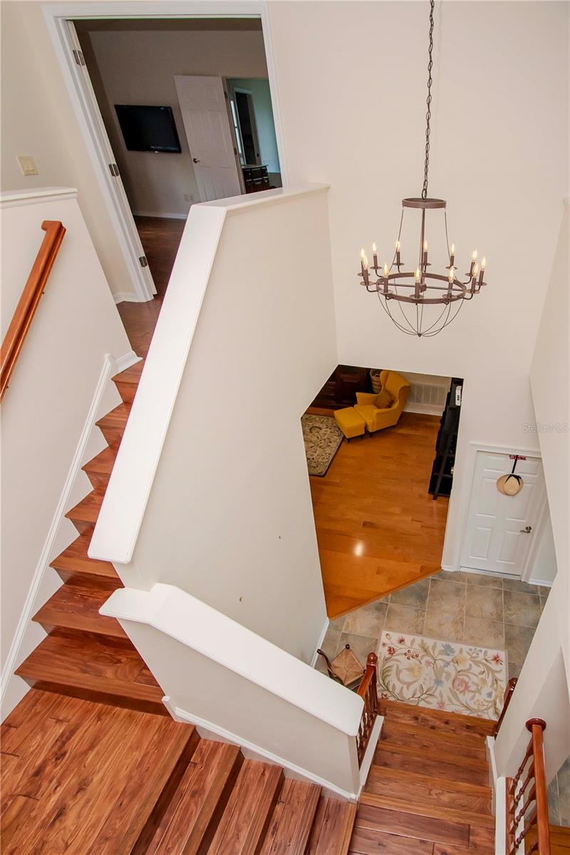 7425 MINNOW BROOK WAY, LAND O LAKES, FL, 34637