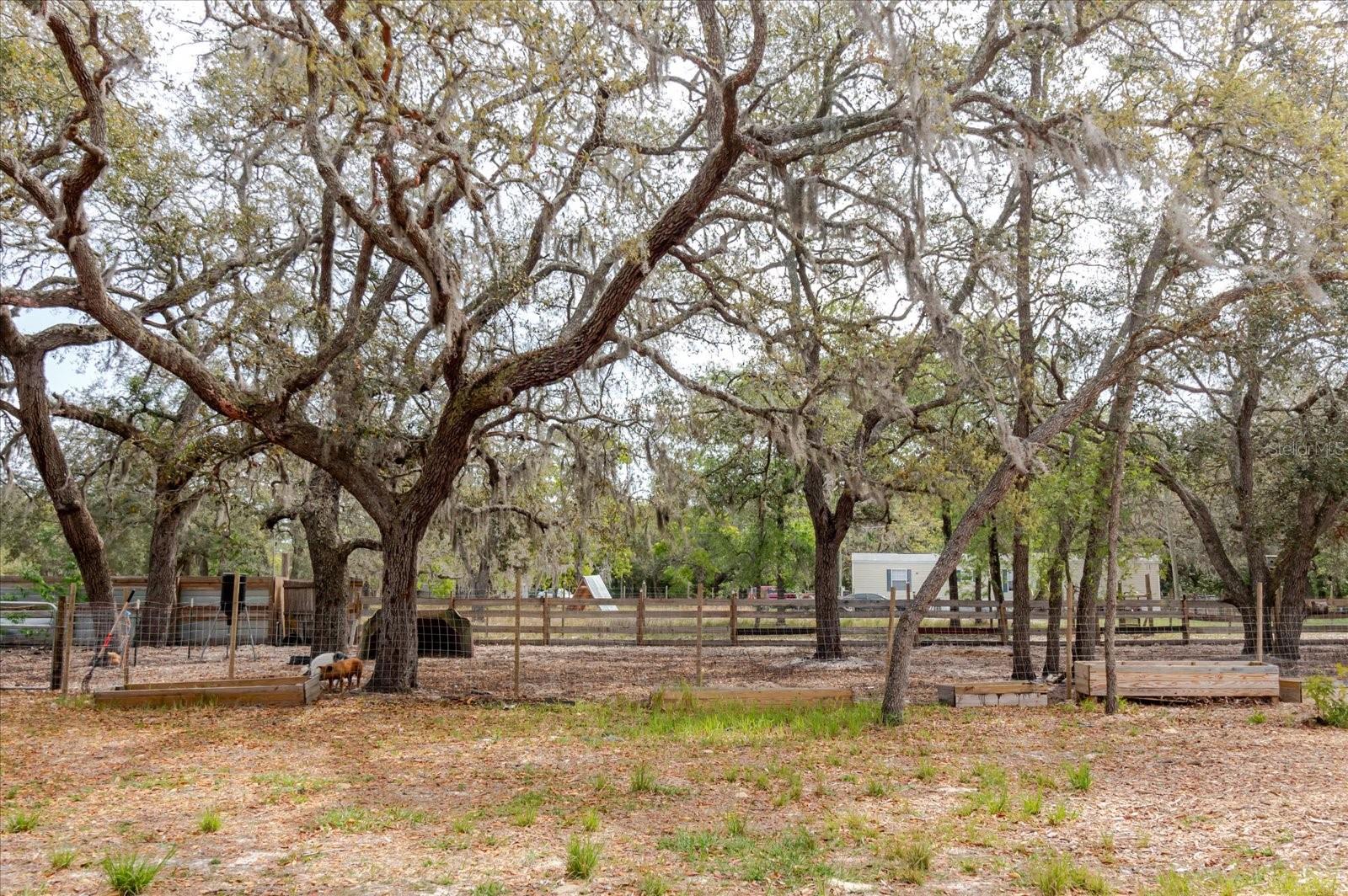 13606 TREATY RD, SPRING HILL, FL, 34610