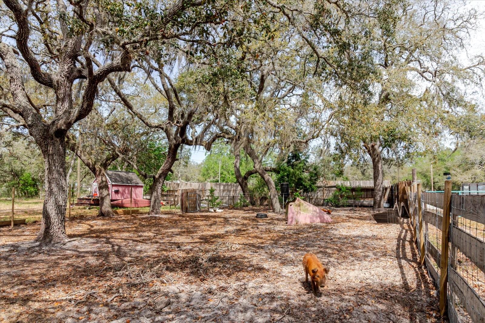 13606 TREATY RD, SPRING HILL, FL, 34610