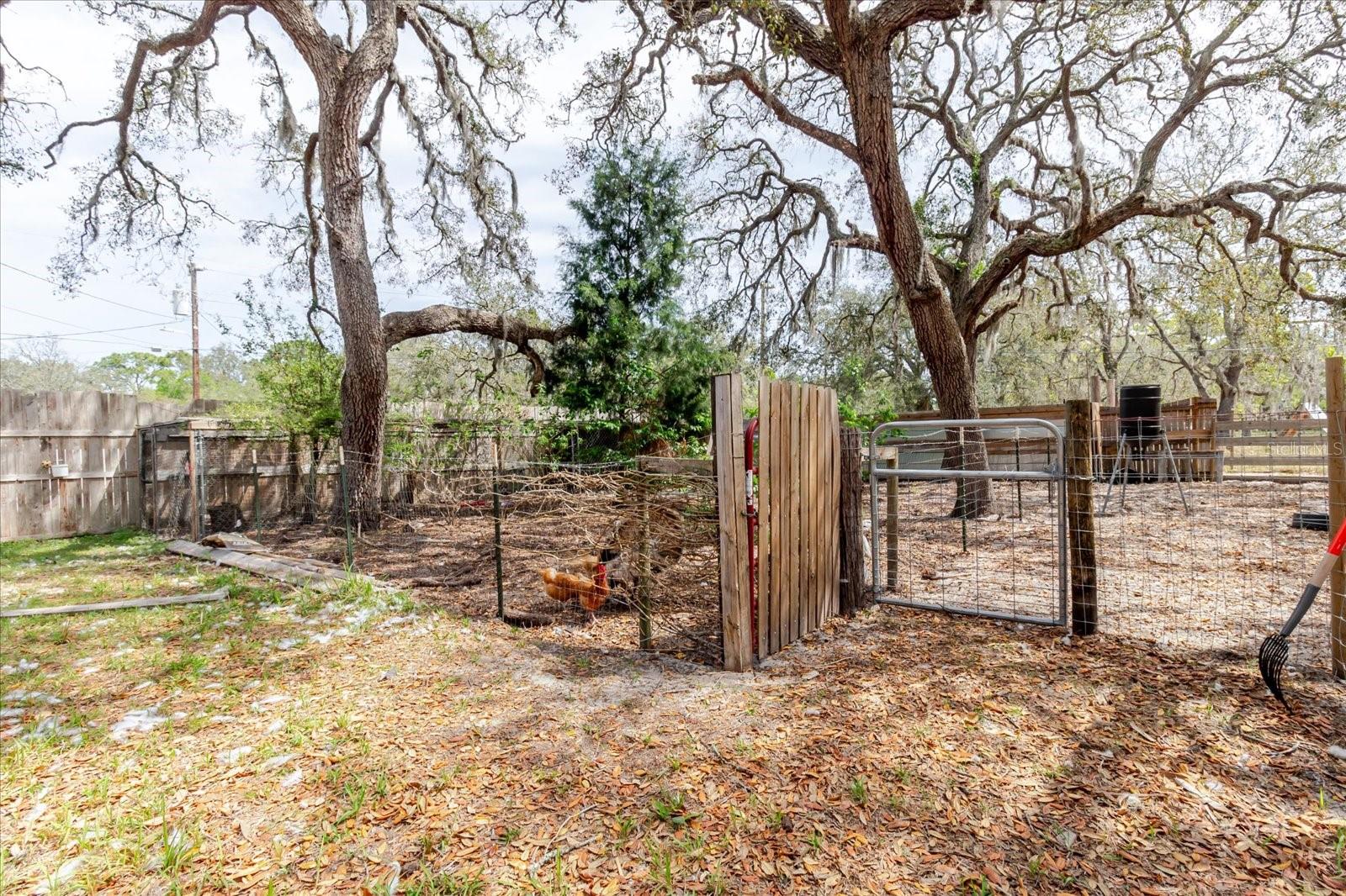 13606 TREATY RD, SPRING HILL, FL, 34610