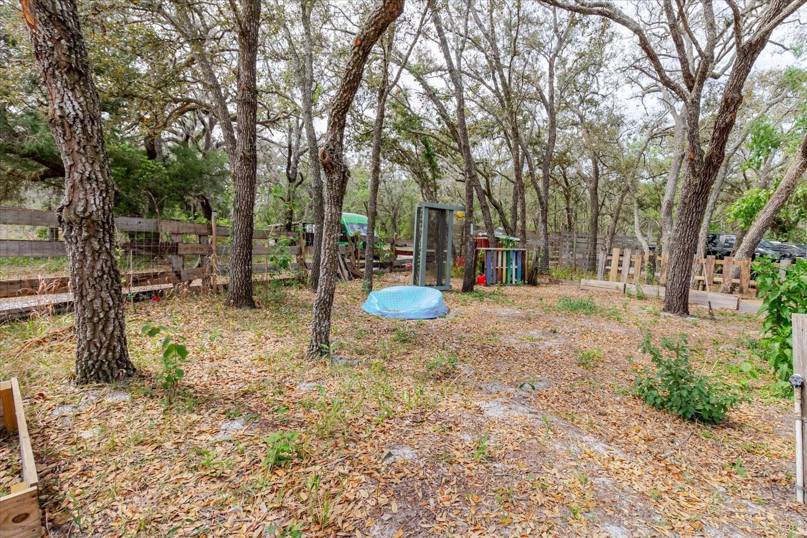 13606 TREATY RD, SPRING HILL, FL, 34610