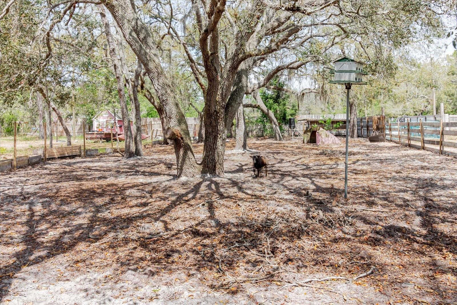 13606 TREATY RD, SPRING HILL, FL, 34610