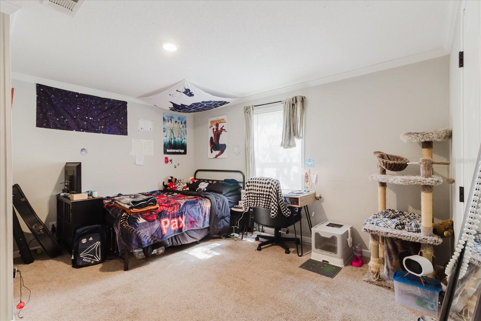 13606 TREATY RD, SPRING HILL, FL, 34610