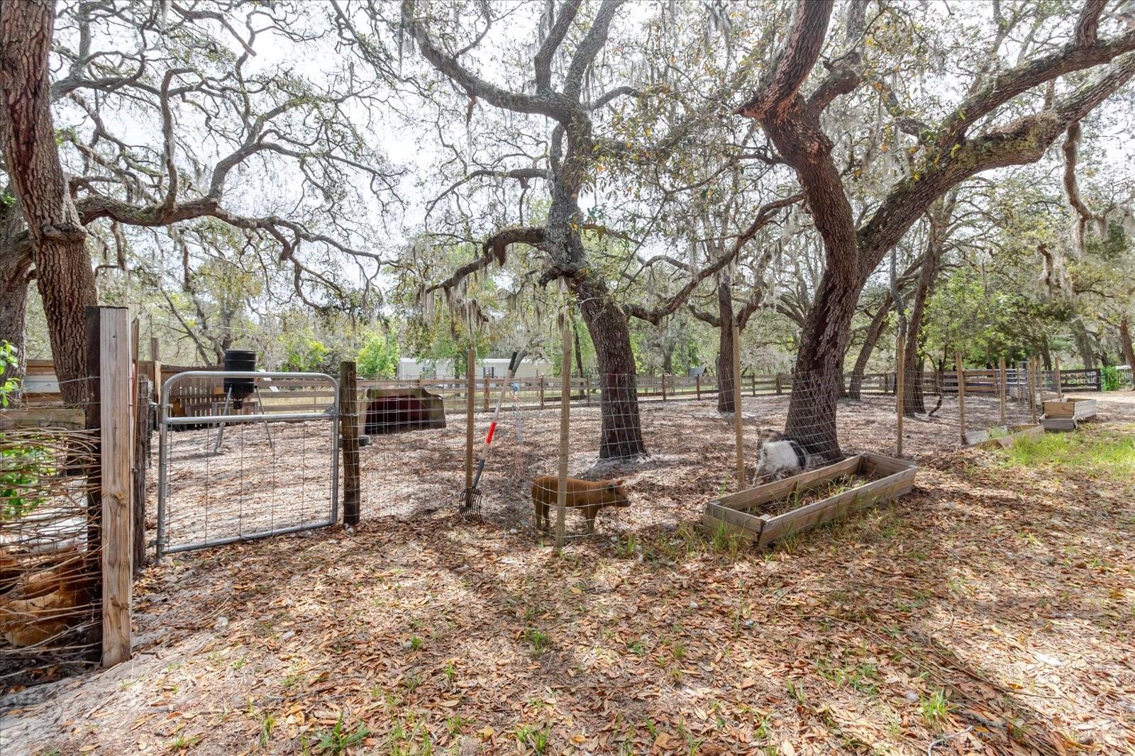 13606 TREATY RD, SPRING HILL, FL, 34610