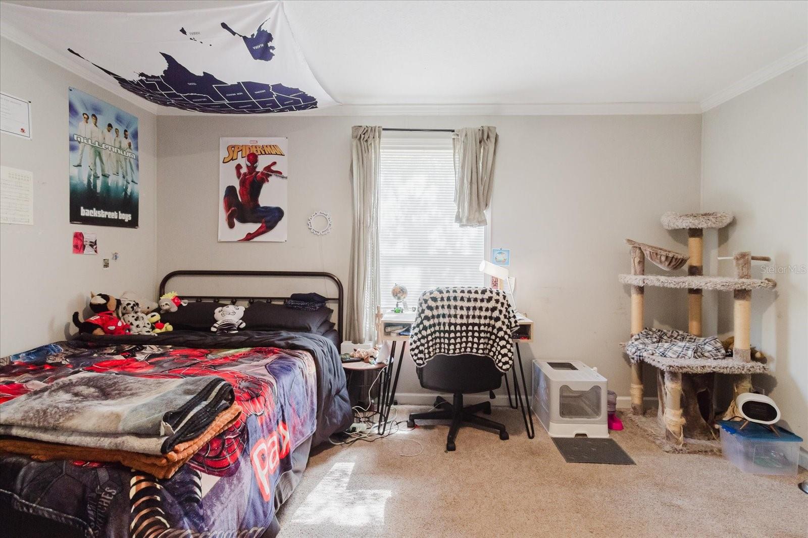 13606 TREATY RD, SPRING HILL, FL, 34610