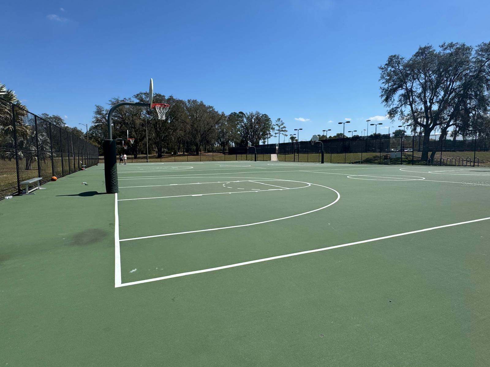 3920 LONG BRANCH LN, APOPKA, FL, 32712