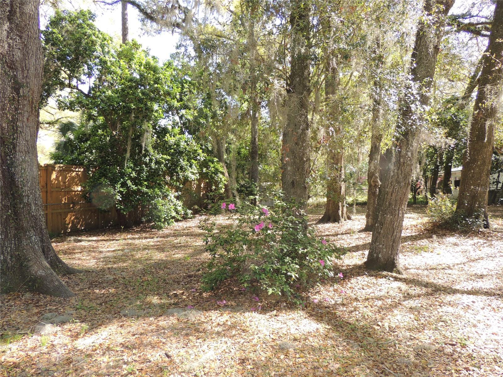 25 SW 41ST ST, GAINESVILLE, FL, 32607