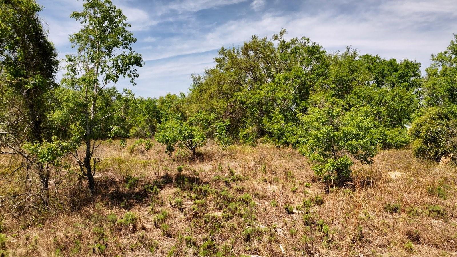 0 US-27 HWY, CLERMONT, FL, 34711