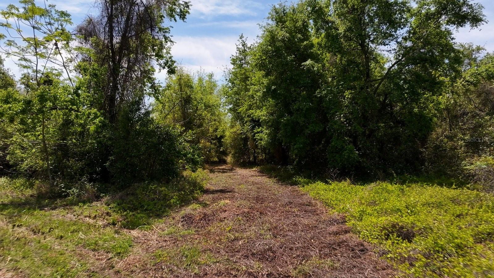 0 US-27 HWY, CLERMONT, FL, 34711