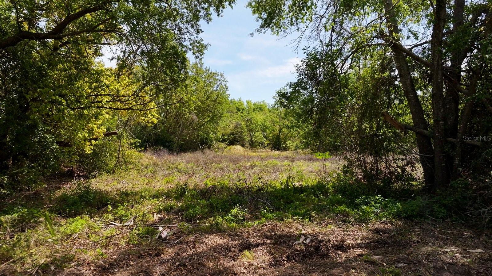 0 US-27 HWY, CLERMONT, FL, 34711