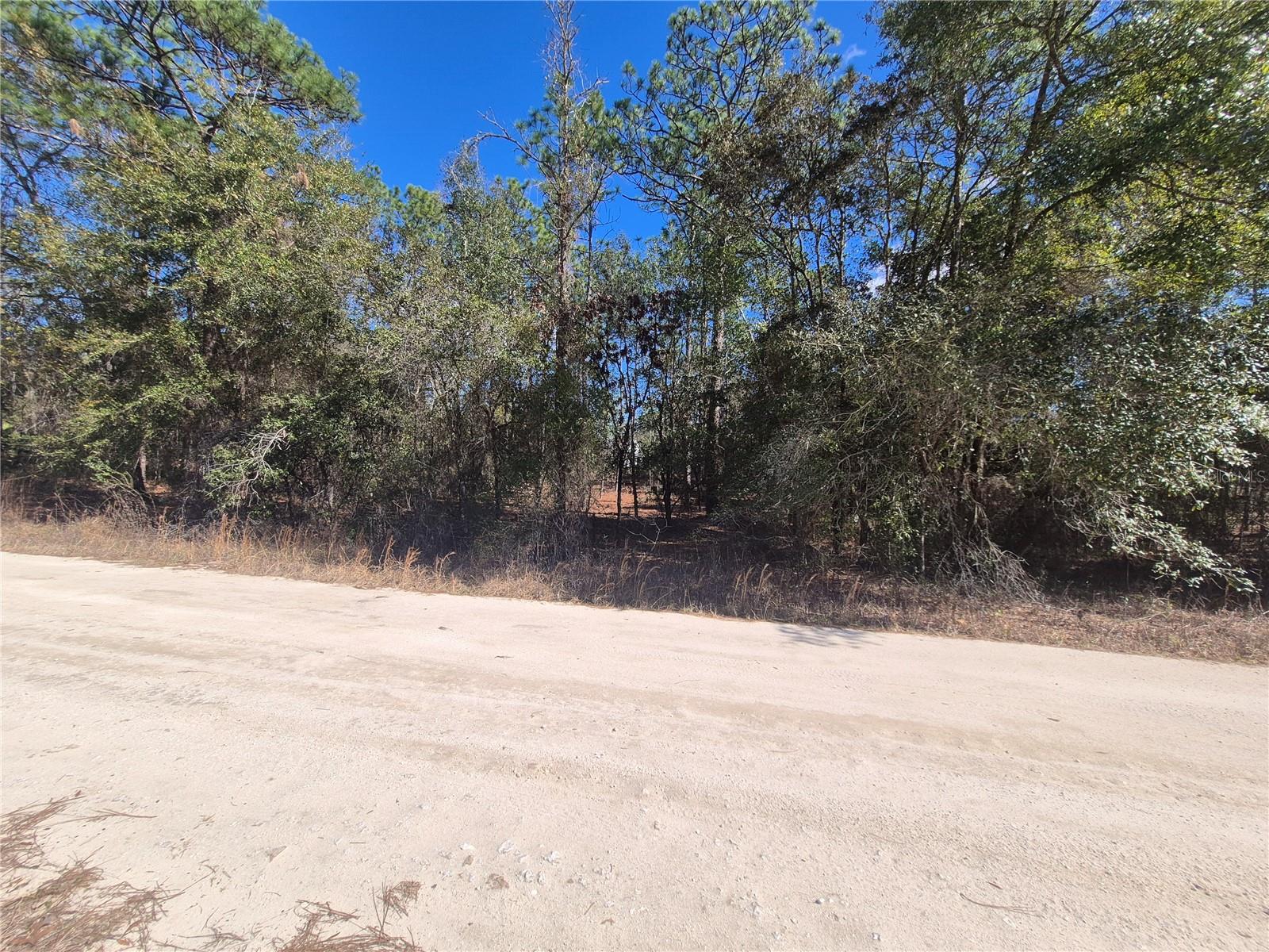 SW 56TH LN, OCALA, FL, 34481