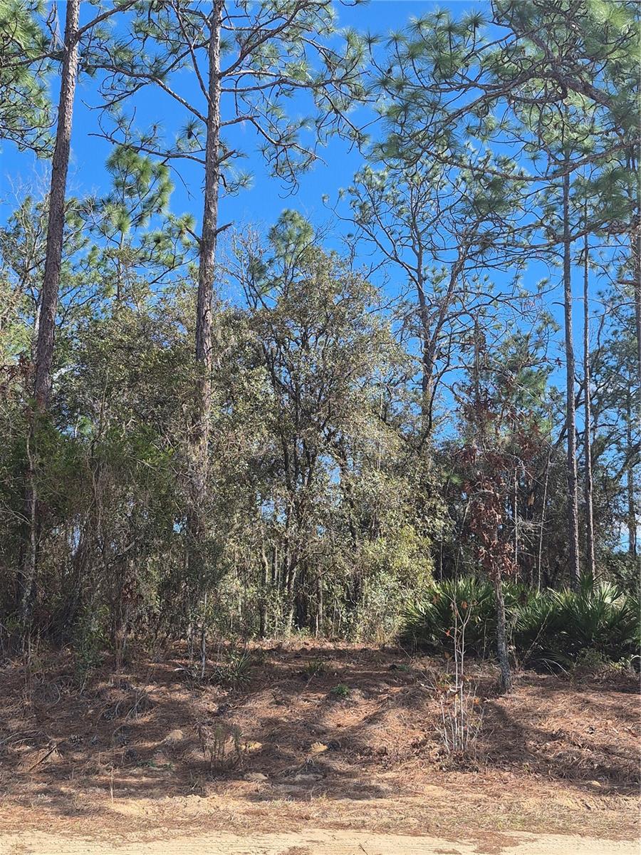SW 56TH LN, OCALA, FL, 34481