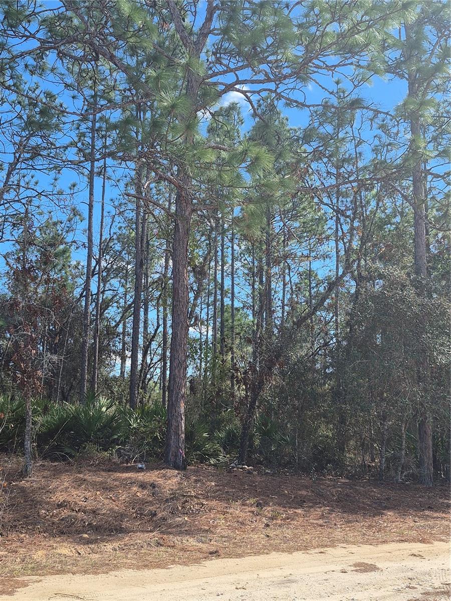 SW 56TH LN, OCALA, FL, 34481