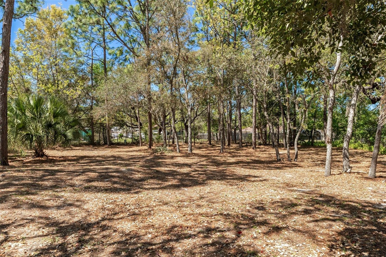 10331 DUNKIRK RD, SPRING HILL, FL, 34608