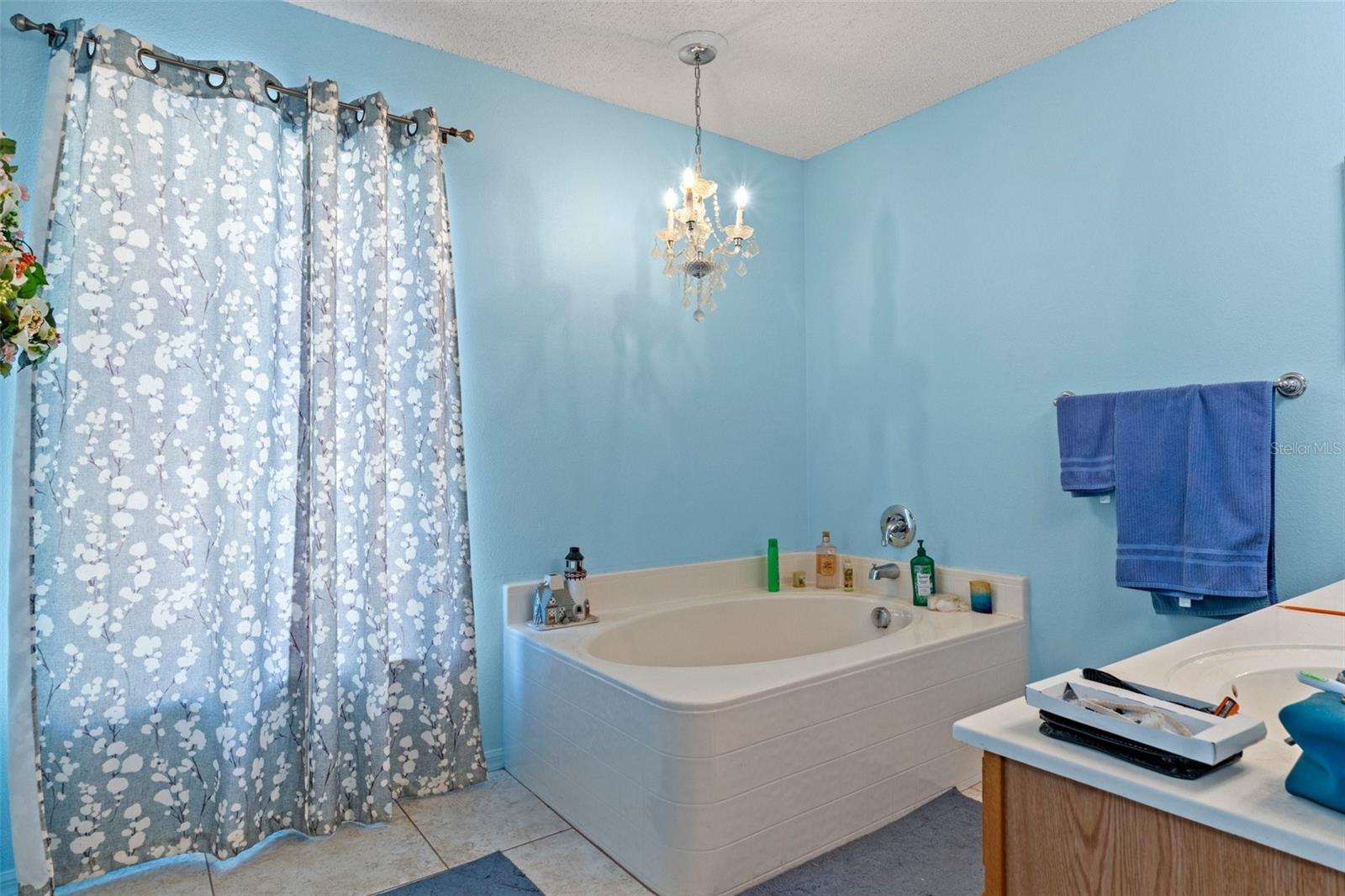 10331 DUNKIRK RD, SPRING HILL, FL, 34608