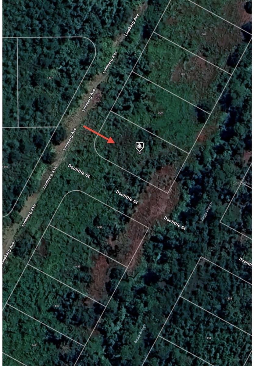 1501 LINDBERG AVE, LAKE PLACID, FL, 33852