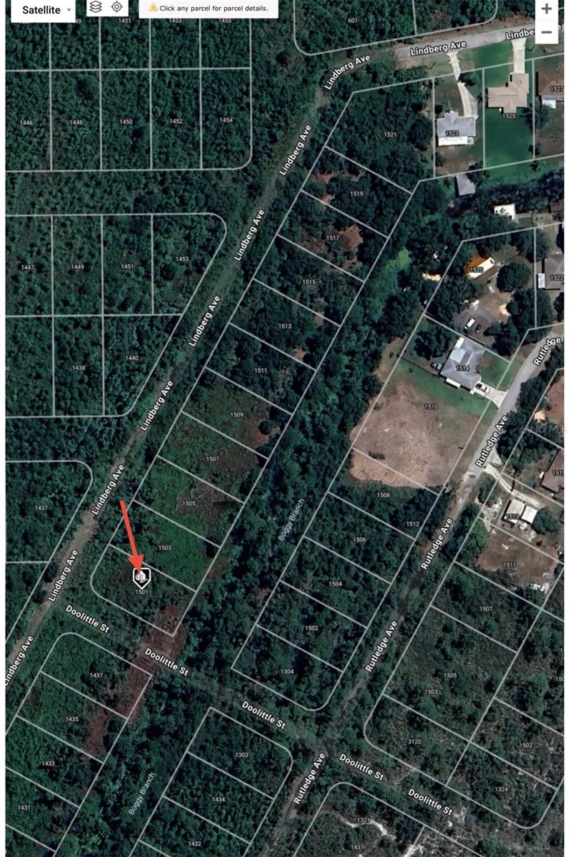 1501 LINDBERG AVE, LAKE PLACID, FL, 33852