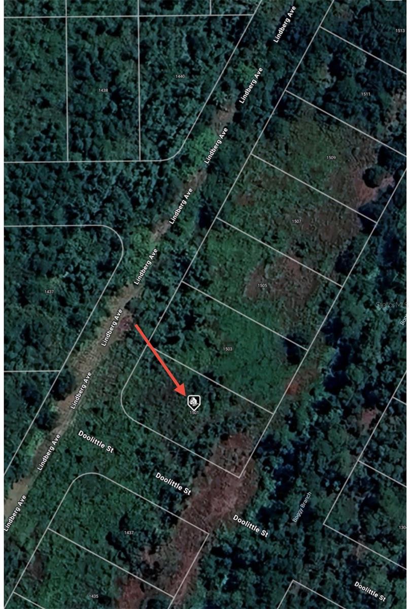 1501 LINDBERG AVE, LAKE PLACID, FL, 33852