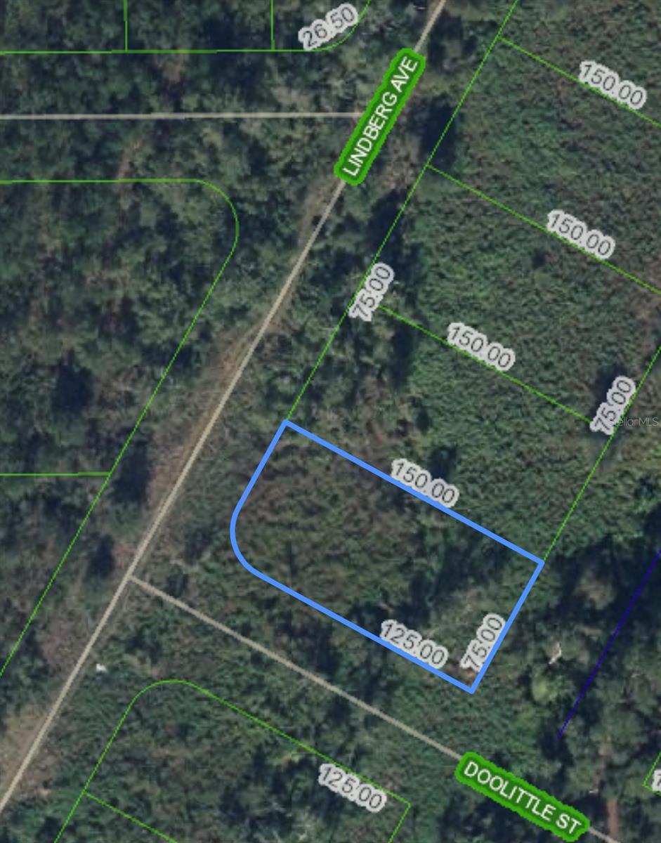 1501 LINDBERG AVE, LAKE PLACID, FL, 33852