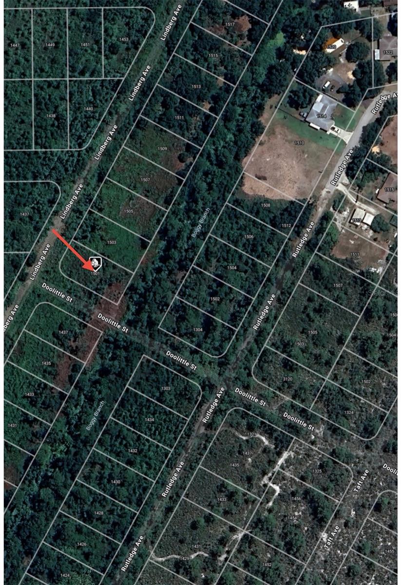 1501 LINDBERG AVE, LAKE PLACID, FL, 33852