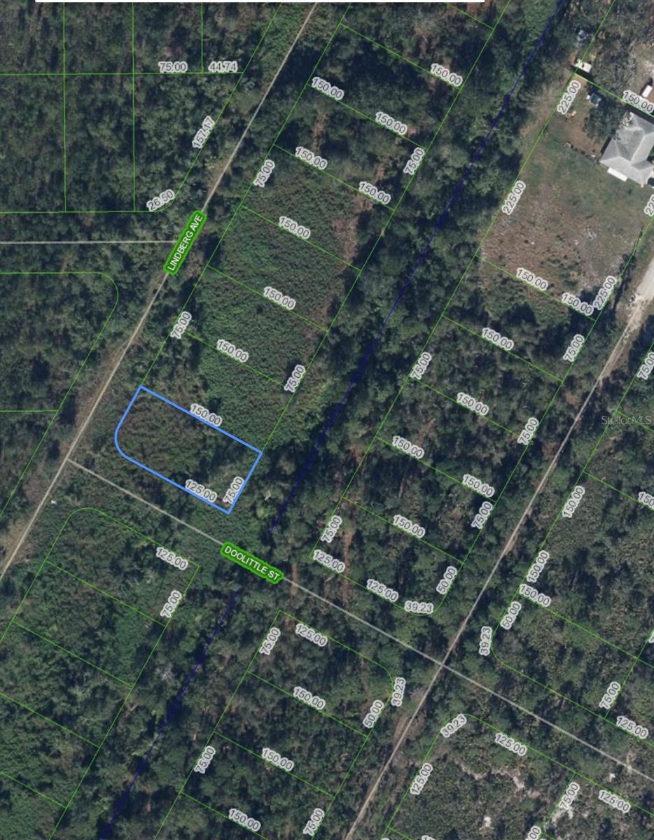 1501 LINDBERG AVE, LAKE PLACID, FL, 33852
