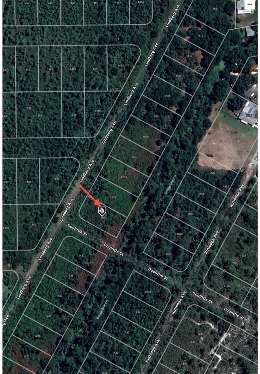 1501 LINDBERG AVE, LAKE PLACID, FL, 33852