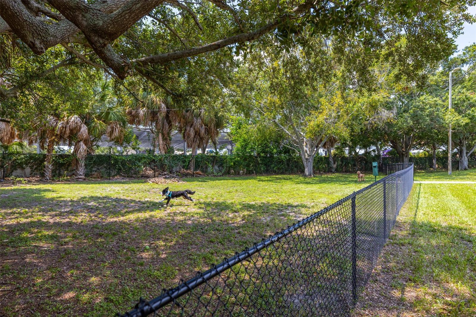 4228 LA DEGA CT, TAMPA, FL, 33611