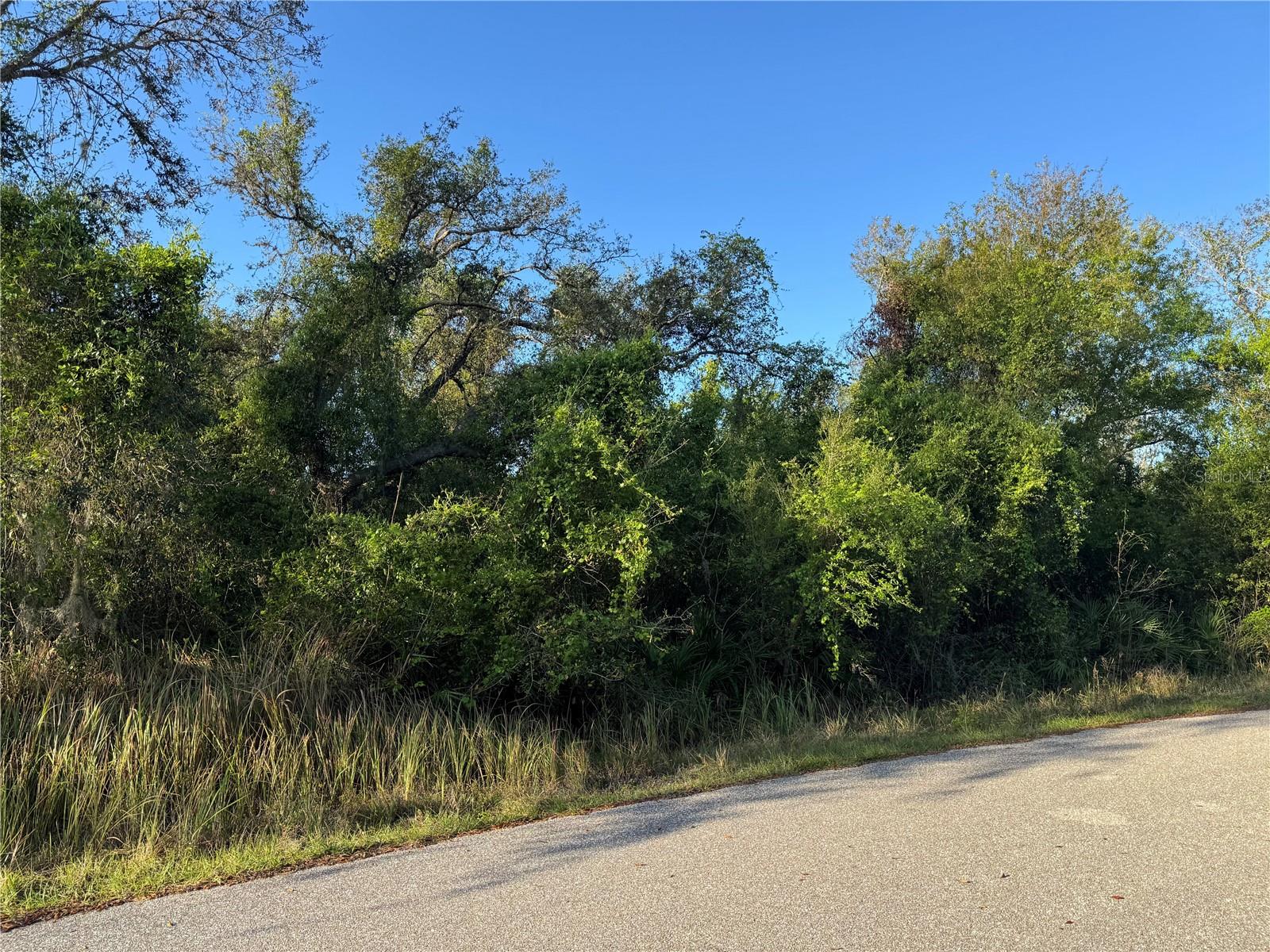 1817 NE VOSS OAKS CIR, ARCADIA, FL, 34266