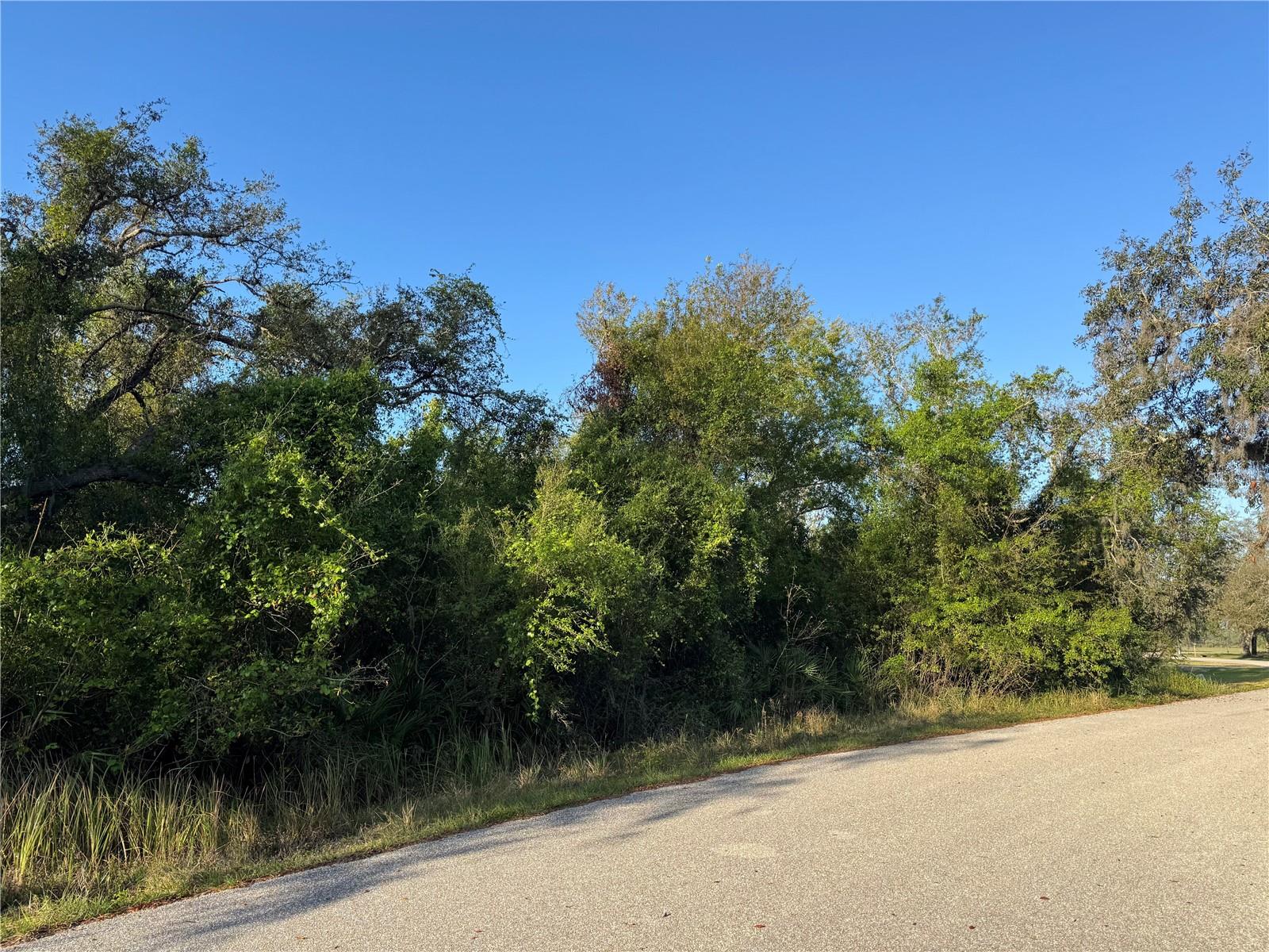 1817 NE VOSS OAKS CIR, ARCADIA, FL, 34266