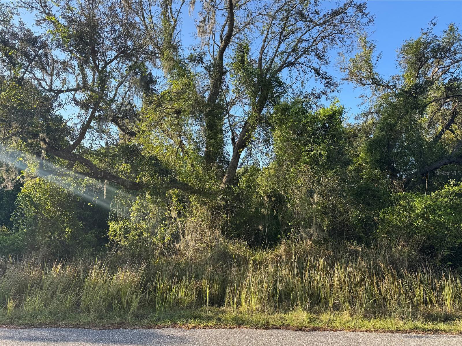 1817 NE VOSS OAKS CIR, ARCADIA, FL, 34266
