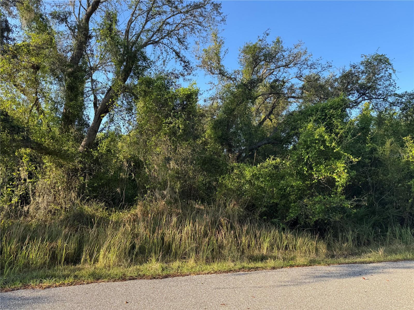 1799 NE VOSS OAKS CIR, ARCADIA, FL, 34266