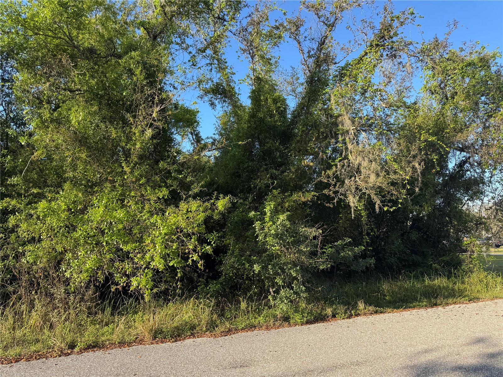 1799 NE VOSS OAKS CIR, ARCADIA, FL, 34266