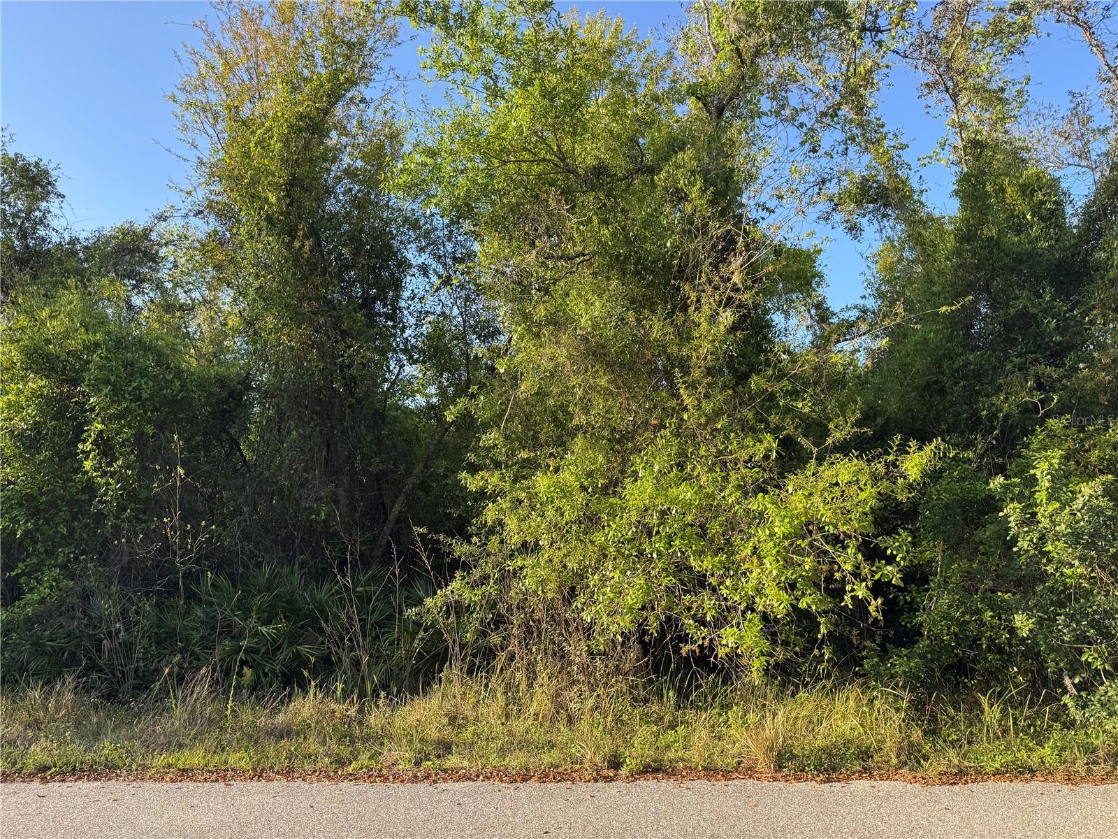 1799 NE VOSS OAKS CIR, ARCADIA, FL, 34266