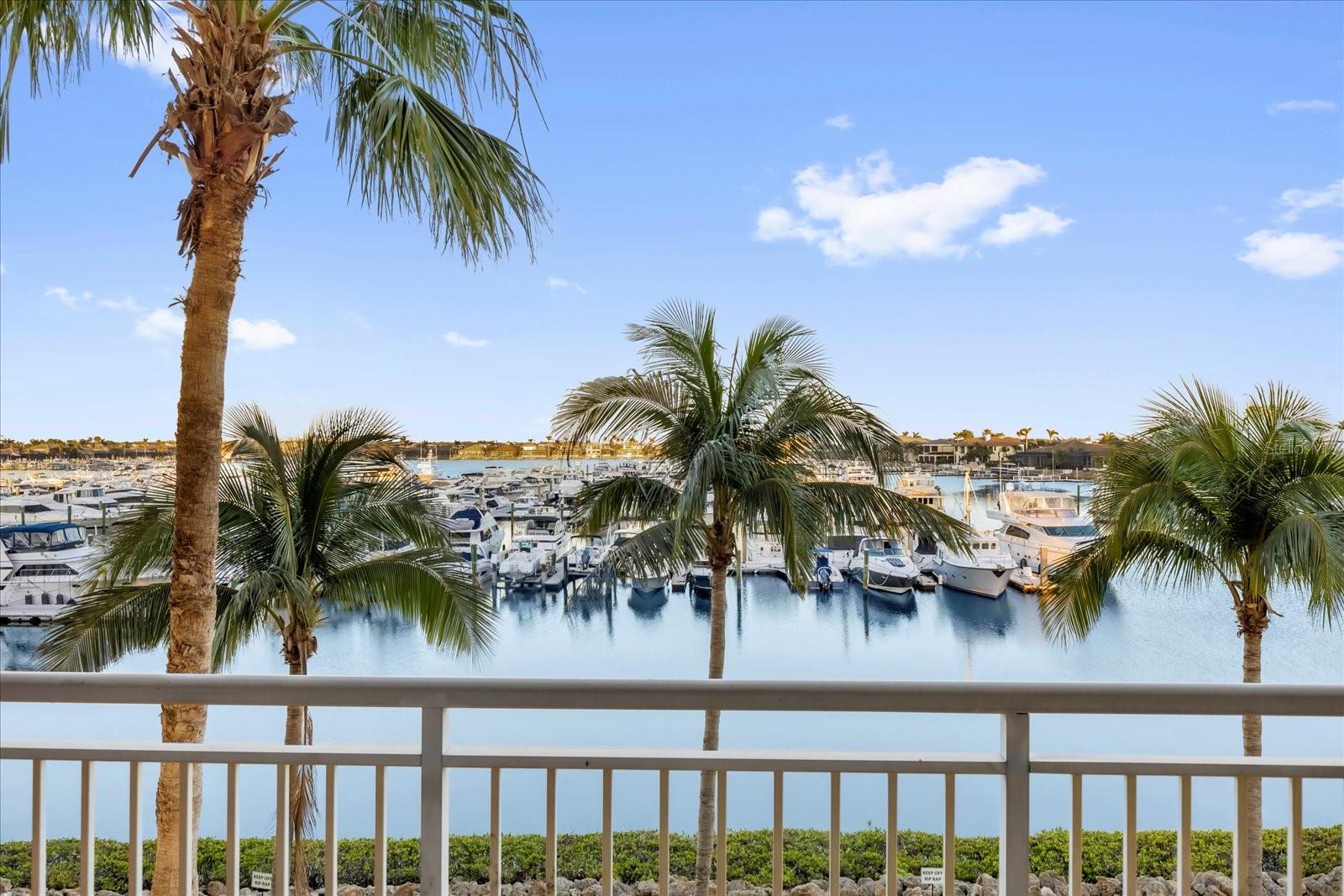 606 RIVIERA DUNES WAY #207, PALMETTO, FL, 34221