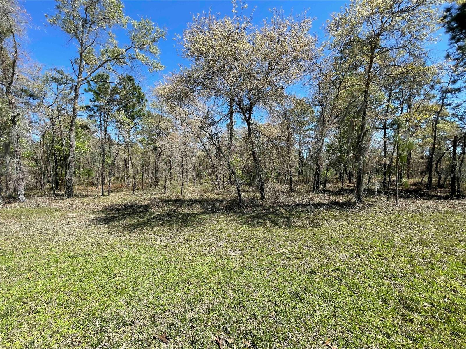Lot 12 SE 117 TER, MORRISTON, FL, 32668