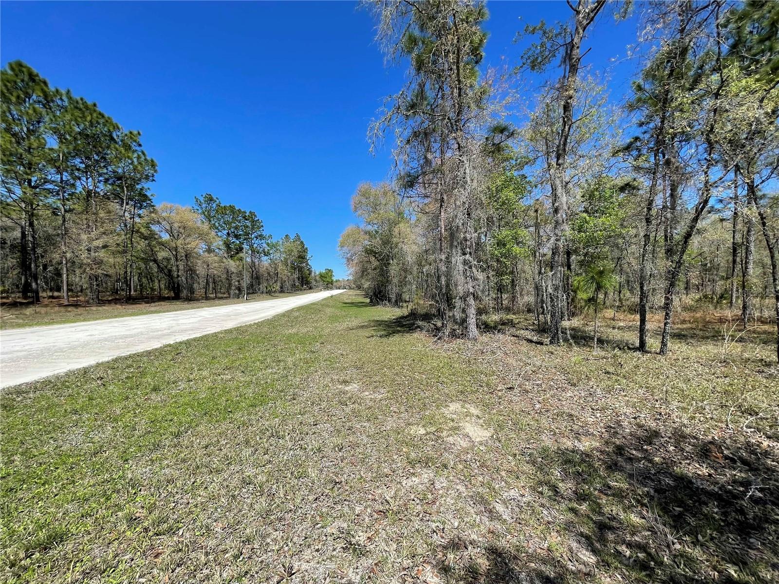Lot 12 SE 117 TER, MORRISTON, FL, 32668