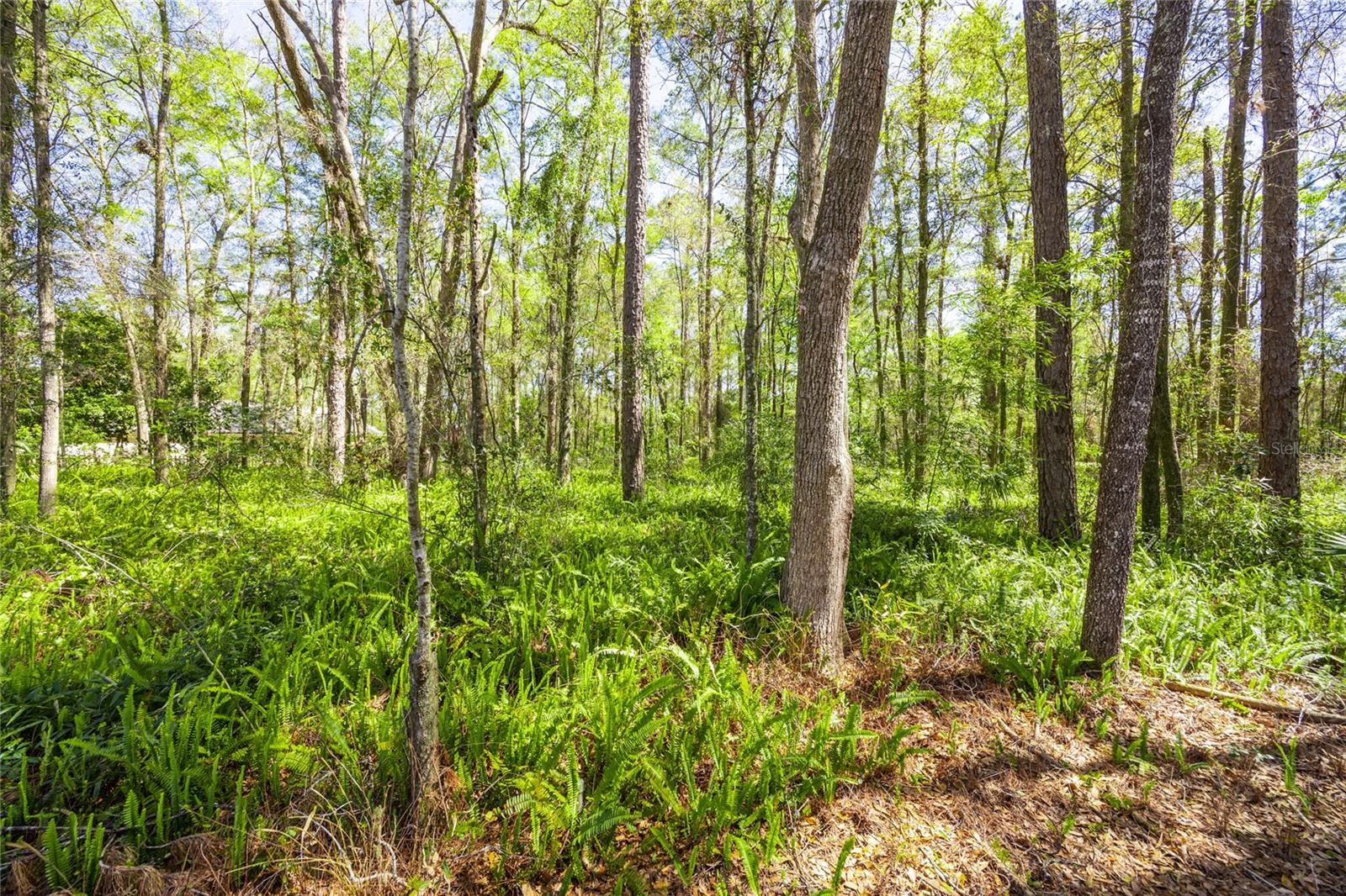 5013 SW 94TH ST, GAINESVILLE, FL, 32608