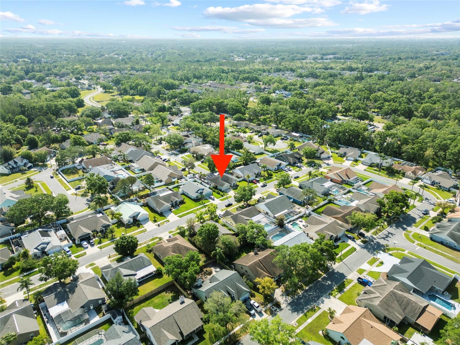 14916 ROCKY LEDGE DR, TAMPA, FL, 33625